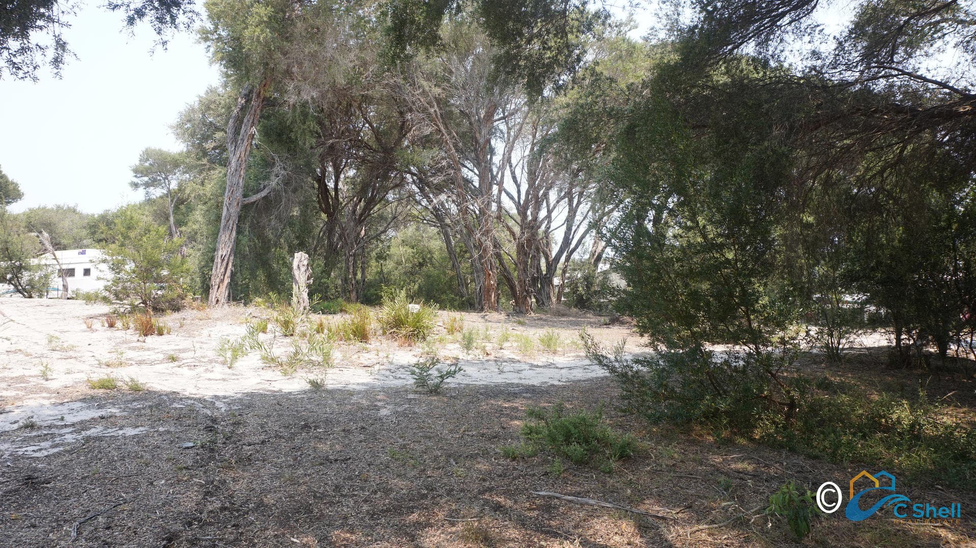 10 Aneta Court Loch Sport, VIC, Loch Sport - Thumbnail 5