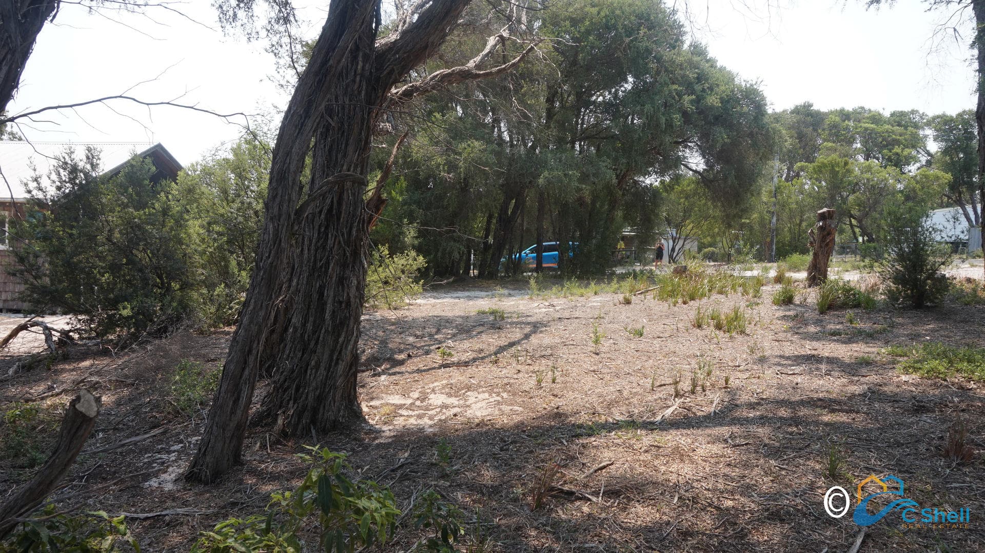 10 Aneta Court Loch Sport, VIC, Loch Sport - Thumbnail 6