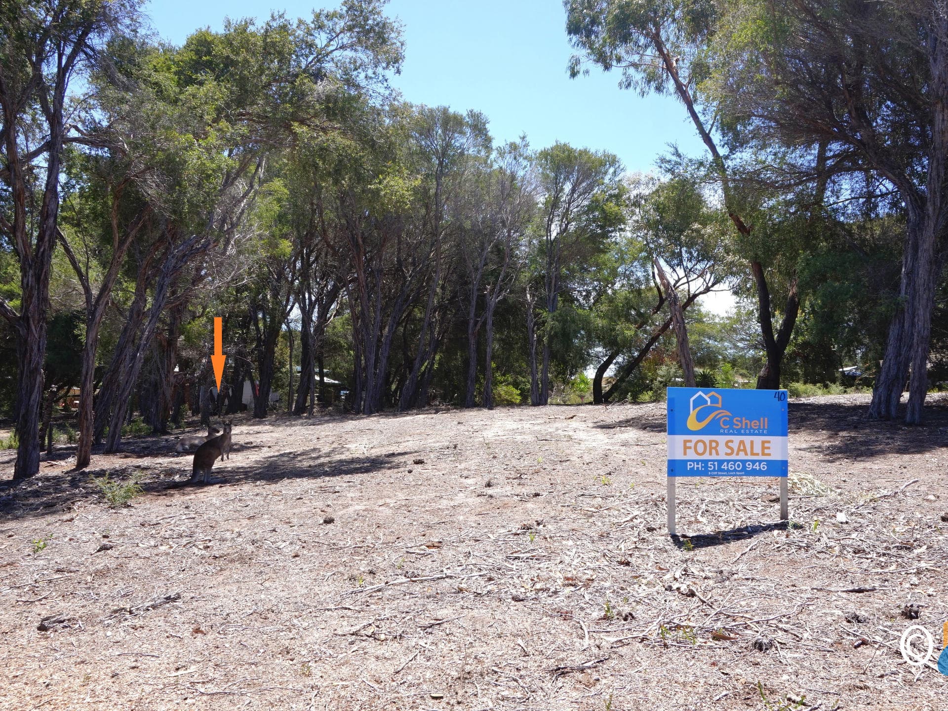 40 White Crescent Loch Sport, VIC, Loch Sport - Image 1