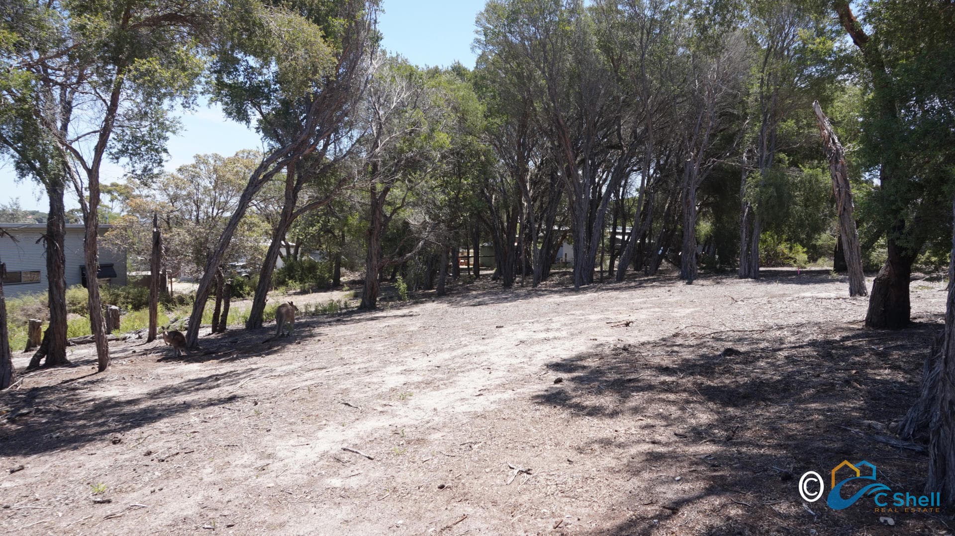 40 White Crescent Loch Sport, VIC, Loch Sport - Thumbnail 4