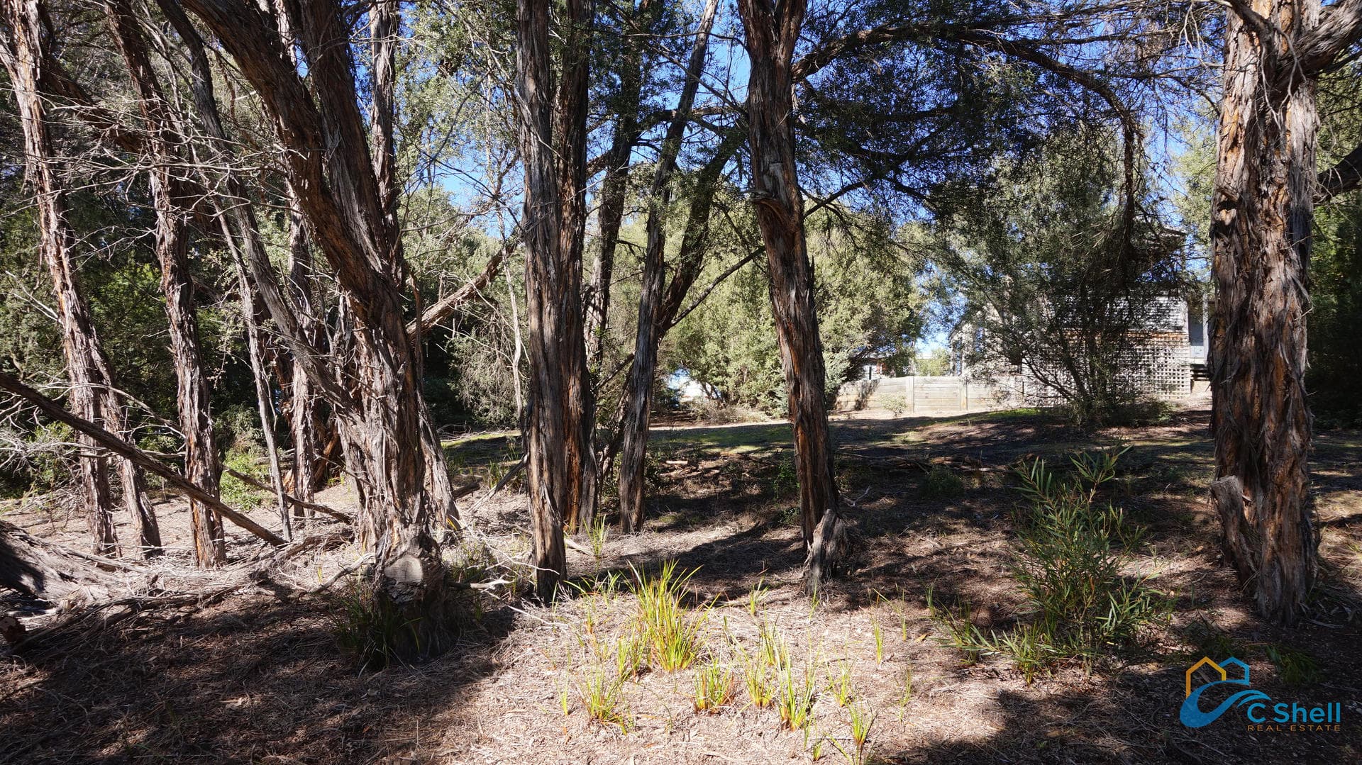 318 National Park Road Loch Sport, VIC, Loch Sport - Thumbnail 7