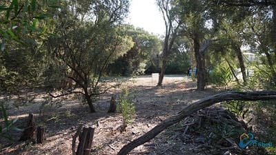 10 Possum Court Loch Sport, VIC, Loch Sport - Thumbnail 6