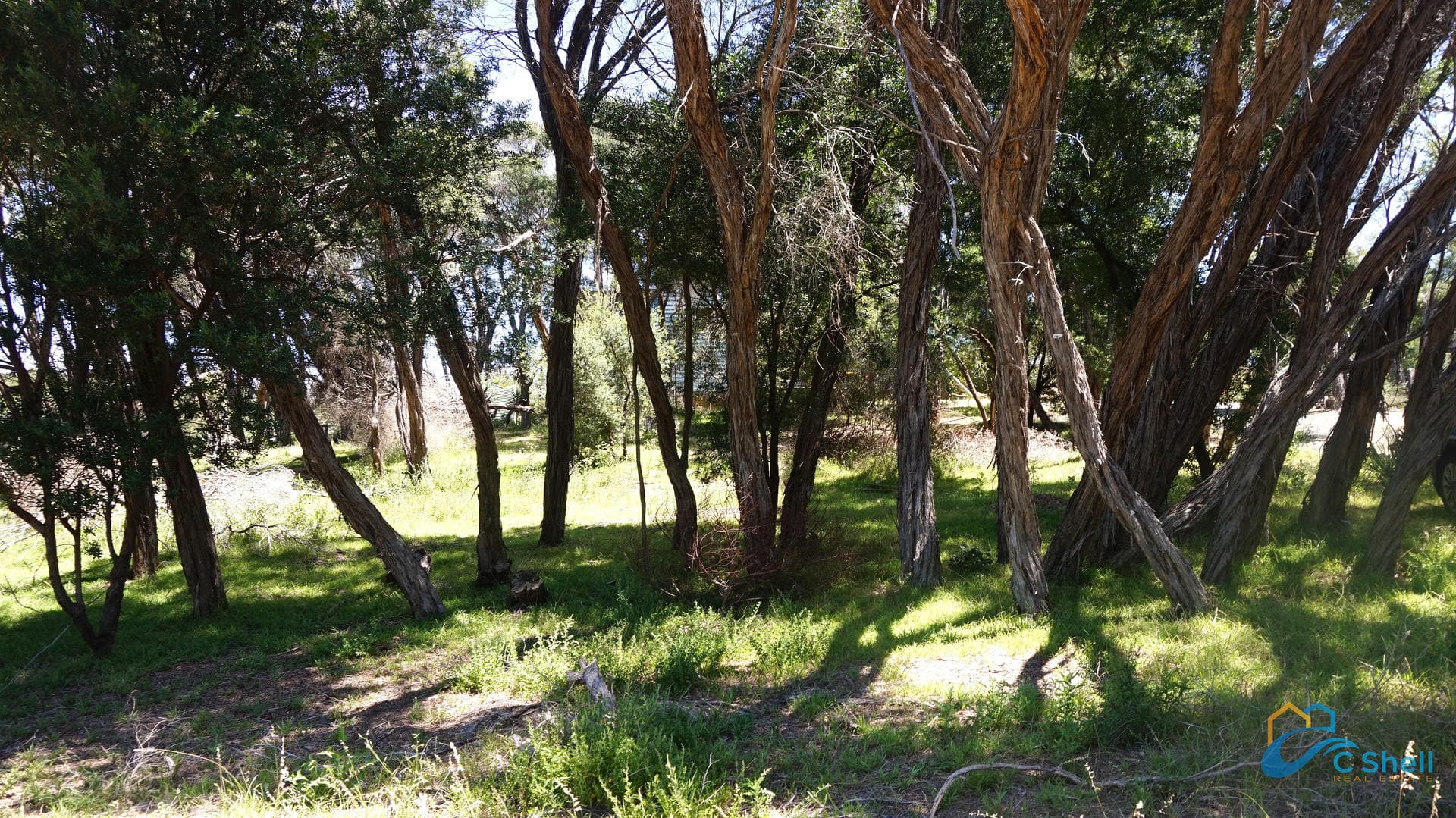 3 Seagull Drive Loch Sport, VIC, Loch Sport - Thumbnail 7