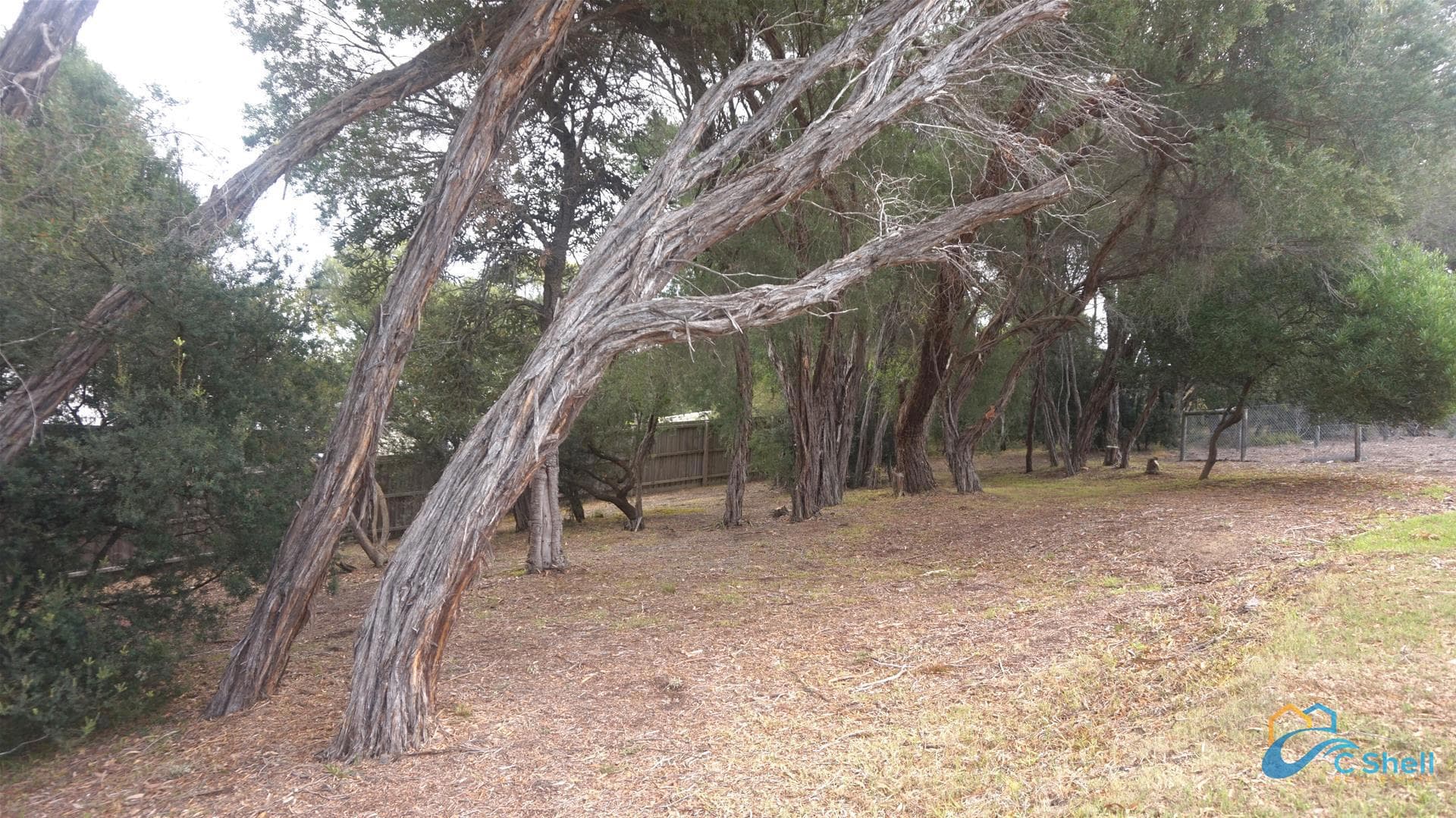 133 National Park Road Loch Sport, VIC, Loch Sport - Thumbnail 4