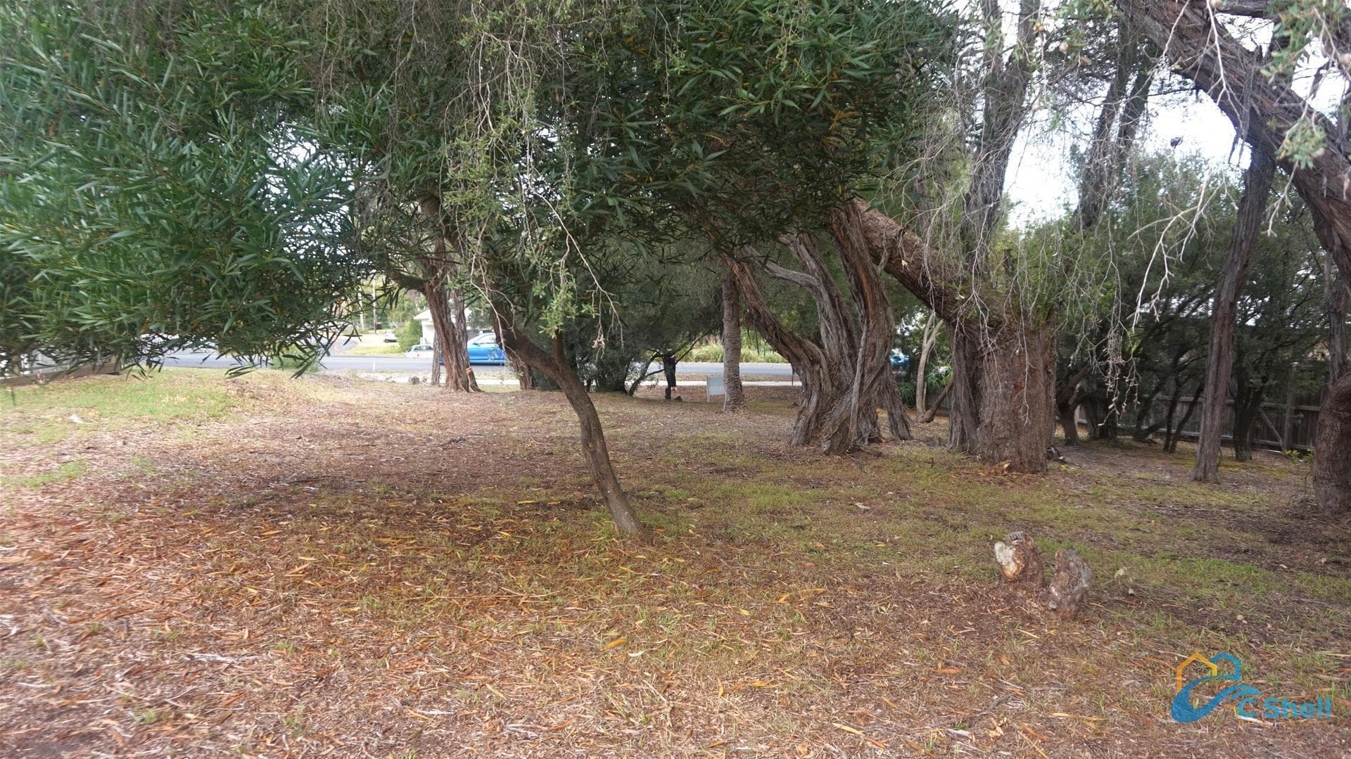 133 National Park Road Loch Sport, VIC, Loch Sport - Thumbnail 6