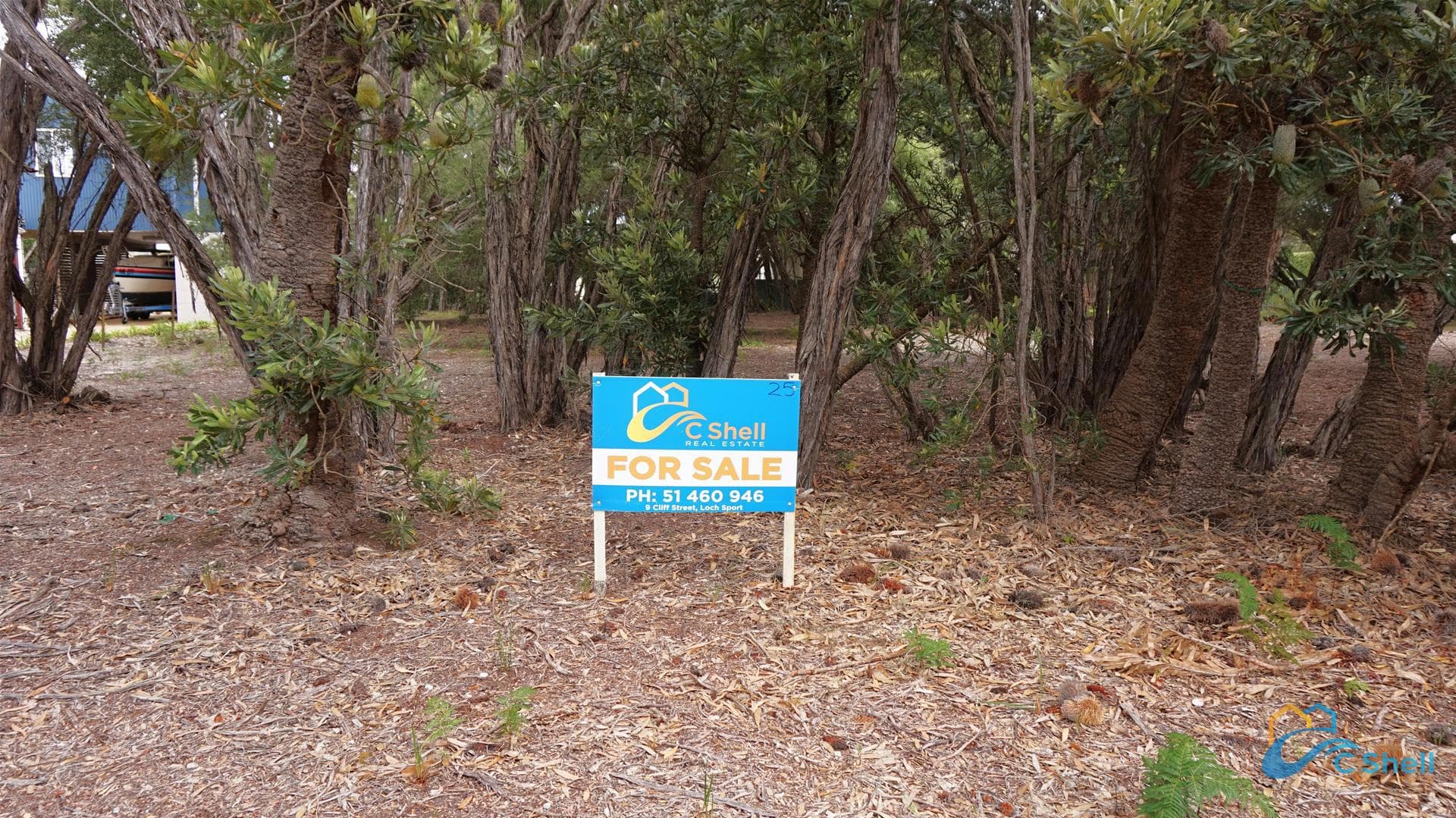 25 Carroll Street Loch Sport, VIC, Loch Sport - Thumbnail 4