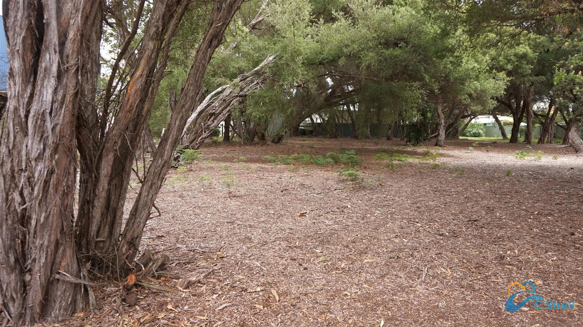 25 Carroll Street Loch Sport, VIC, Loch Sport - Thumbnail 5