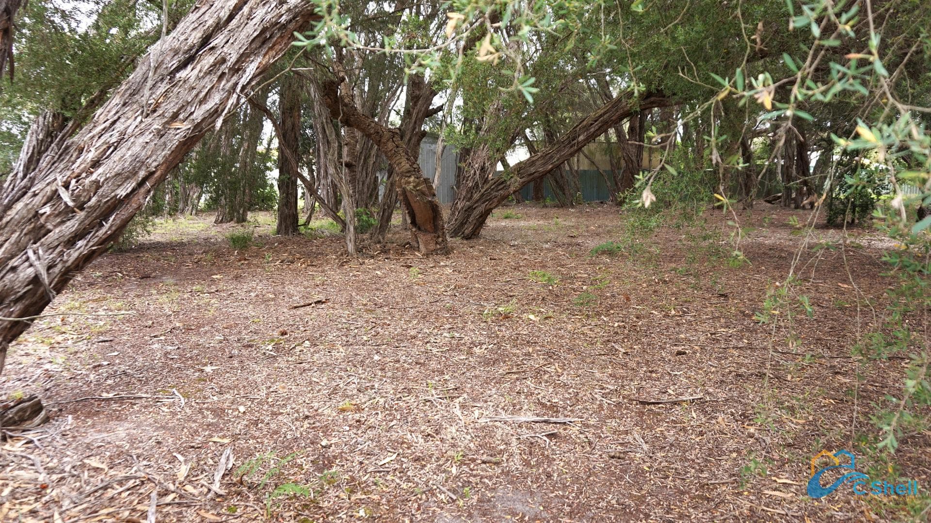 25 Carroll Street Loch Sport, VIC, Loch Sport - Thumbnail 7
