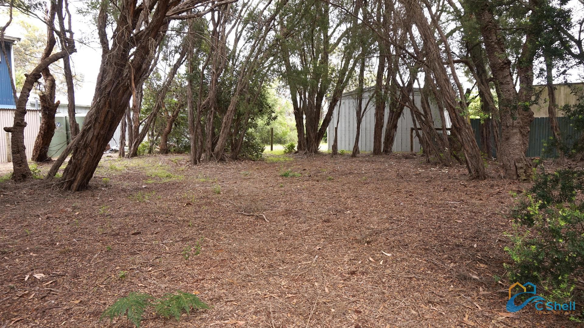 25 Carroll Street Loch Sport, VIC, Loch Sport - Thumbnail 8