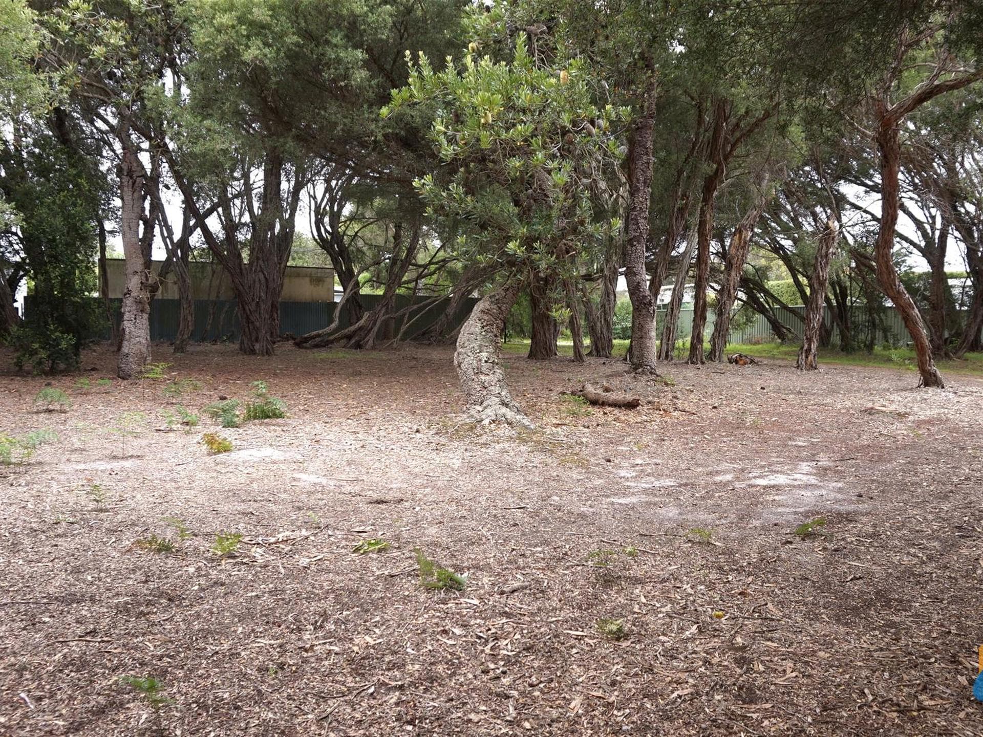 27 Carroll Street Loch Sport, VIC, Loch Sport - Image 1