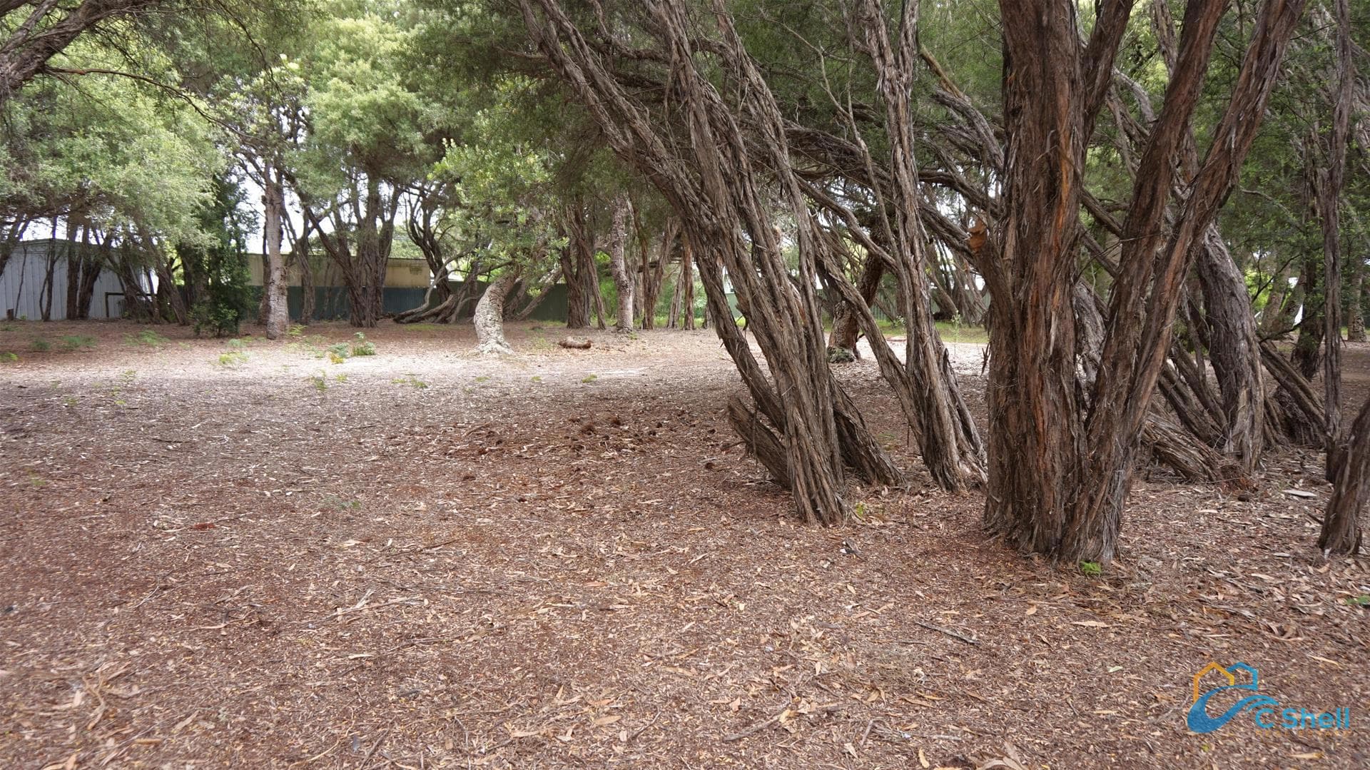 27 Carroll Street Loch Sport, VIC, Loch Sport - Thumbnail 5