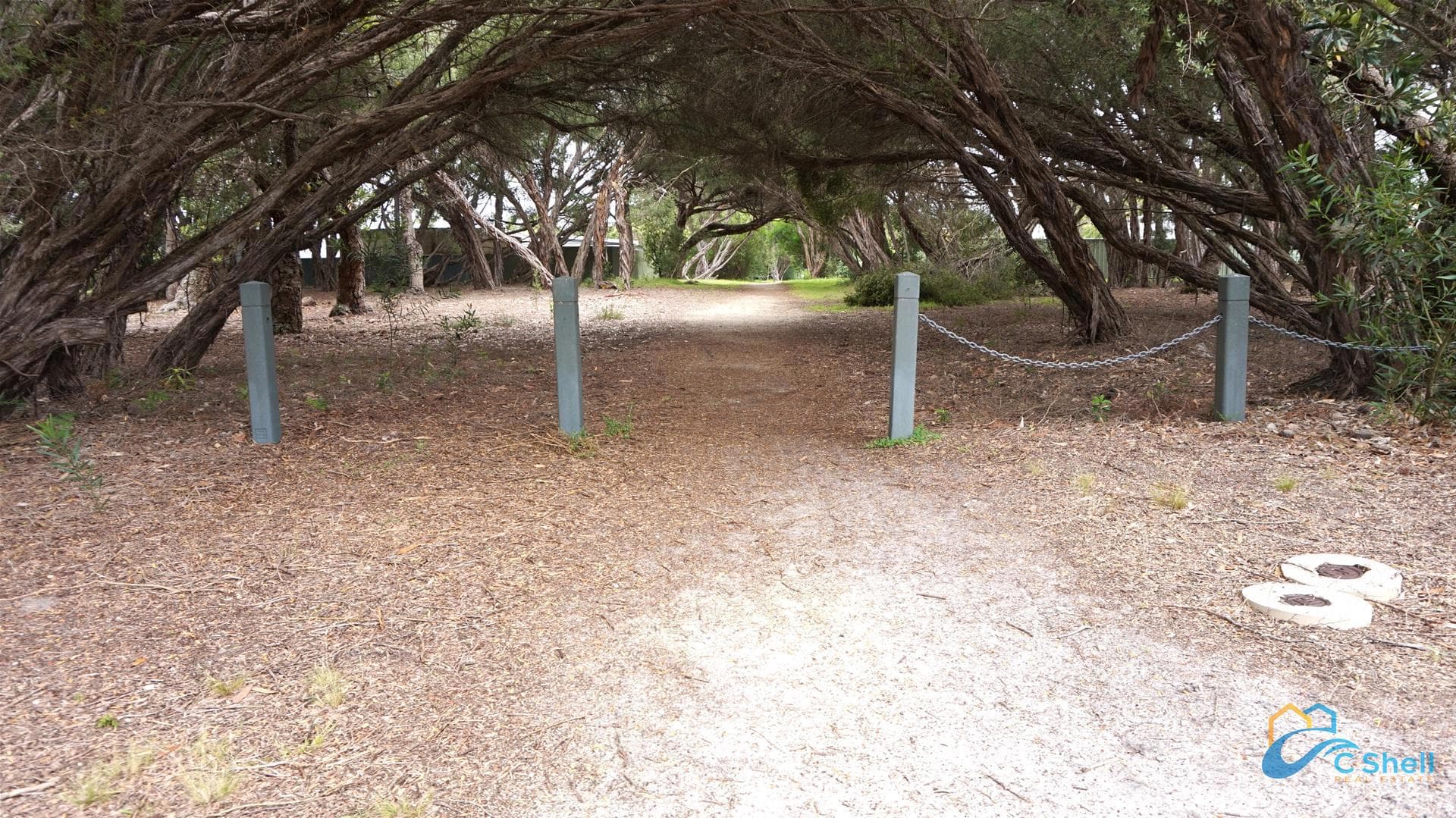 27 Carroll Street Loch Sport, VIC, Loch Sport - Thumbnail 8