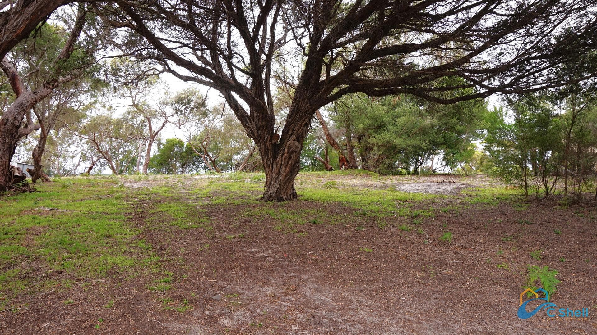 56 Goodlett Avenue Loch Sport, VIC, Loch Sport - Thumbnail 4