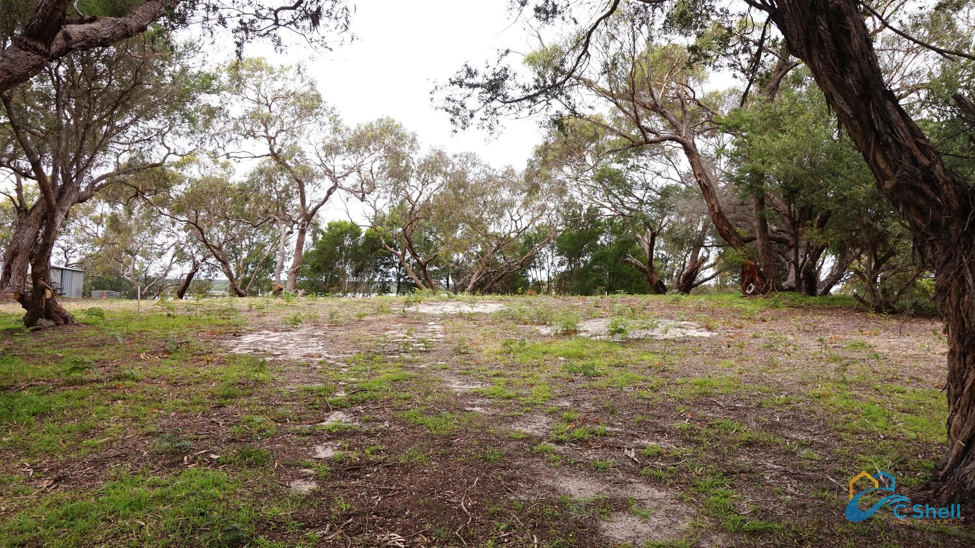 56 Goodlett Avenue Loch Sport, VIC, Loch Sport - Thumbnail 5