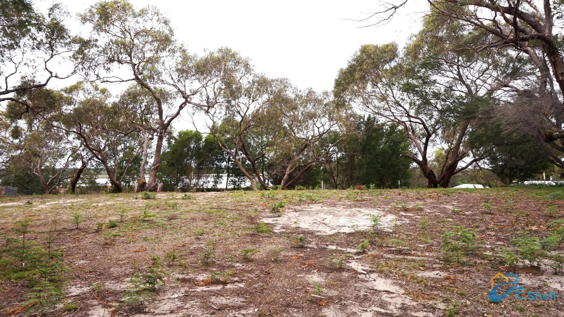 56 Goodlett Avenue Loch Sport, VIC, Loch Sport - Thumbnail 6