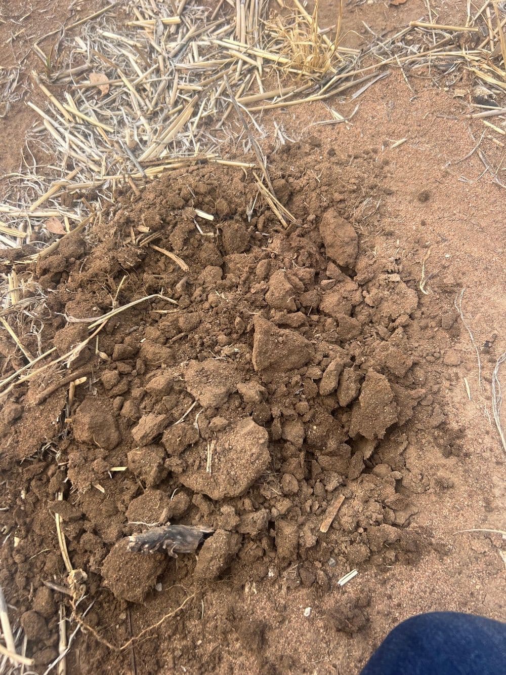 Aubrey Road Cannum, CANNUM, VIC 3393, Cannum - Thumbnail 6