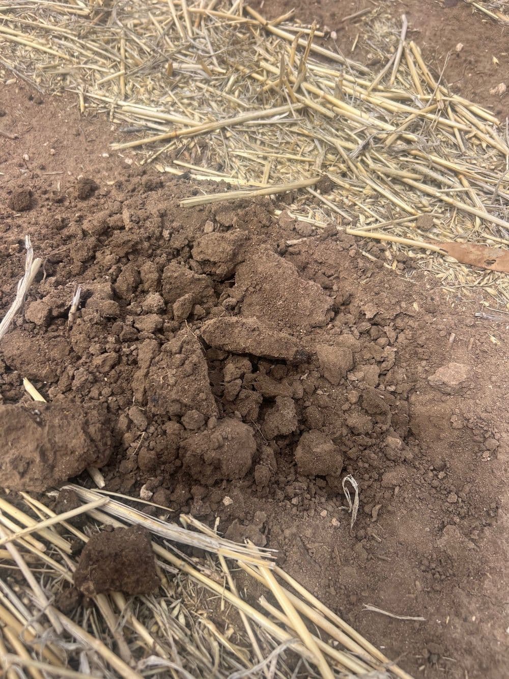 Aubrey Road Cannum, CANNUM, VIC 3393, Cannum - Thumbnail 7