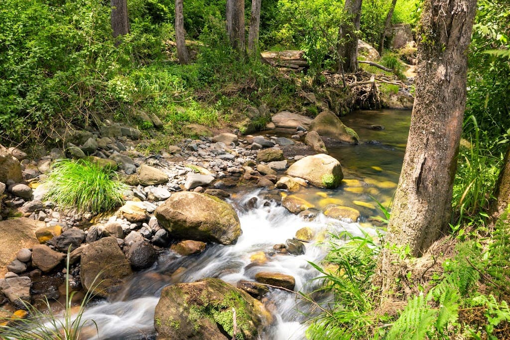 664 Horseshoe Creek Road, Upper Horseshoe Creek, NSW, 2474, Upper Horseshoe Creek - Thumbnail 3