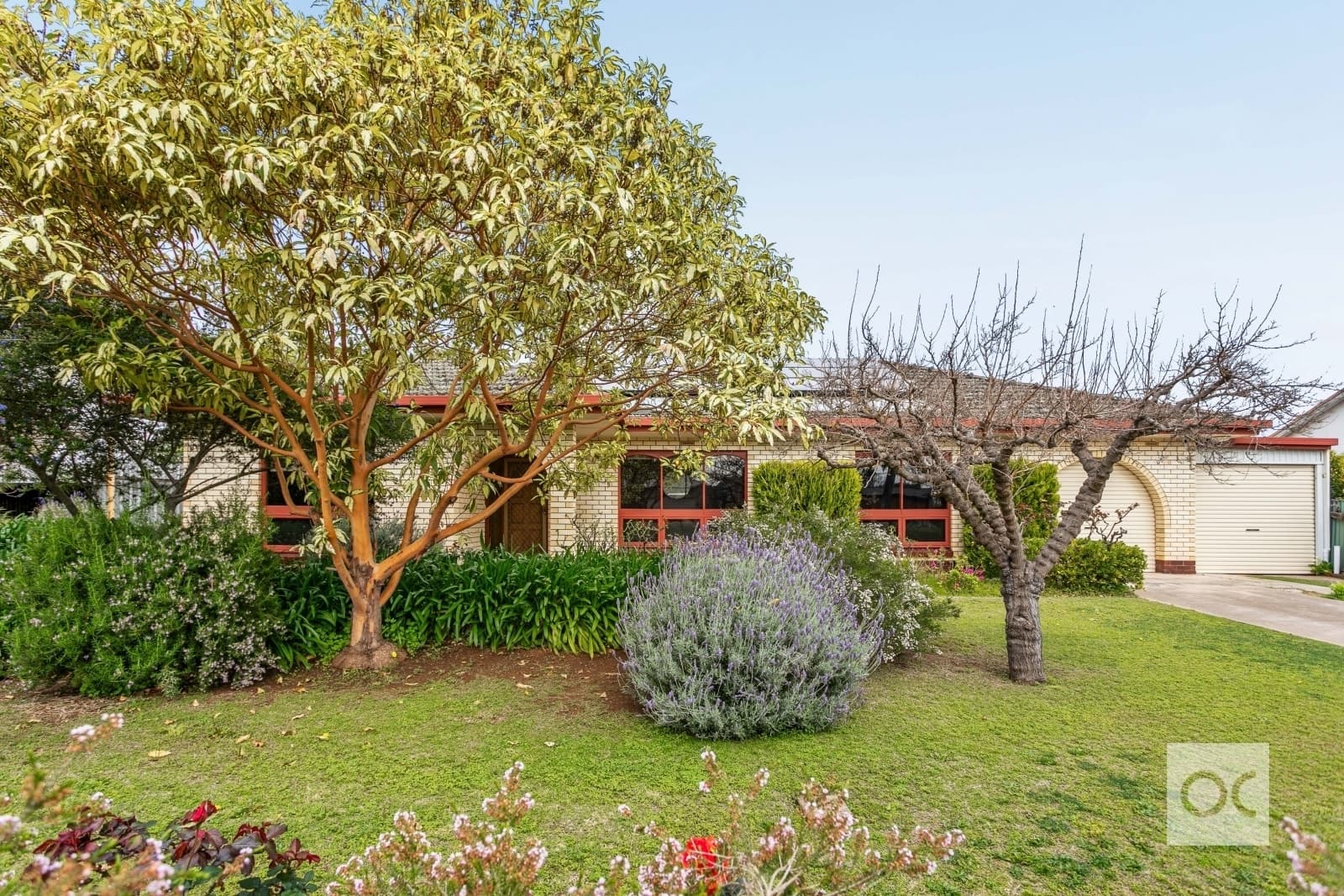 36 Halsbury Avenue, Kingswood - Thumbnail 2