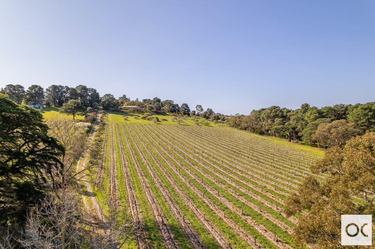 145 Blewitt Springs Road, McLaren Flat - Thumbnail 3