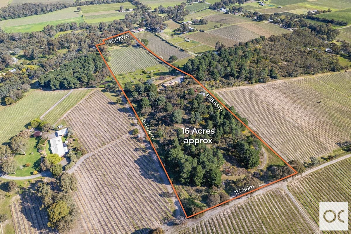 145 Blewitt Springs Road, McLaren Flat - Thumbnail 4