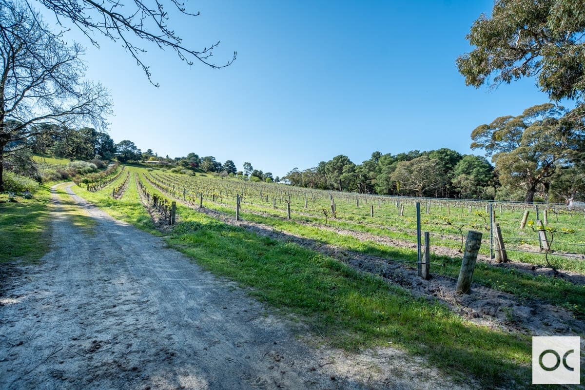 145 Blewitt Springs Road, McLaren Flat - Thumbnail 8