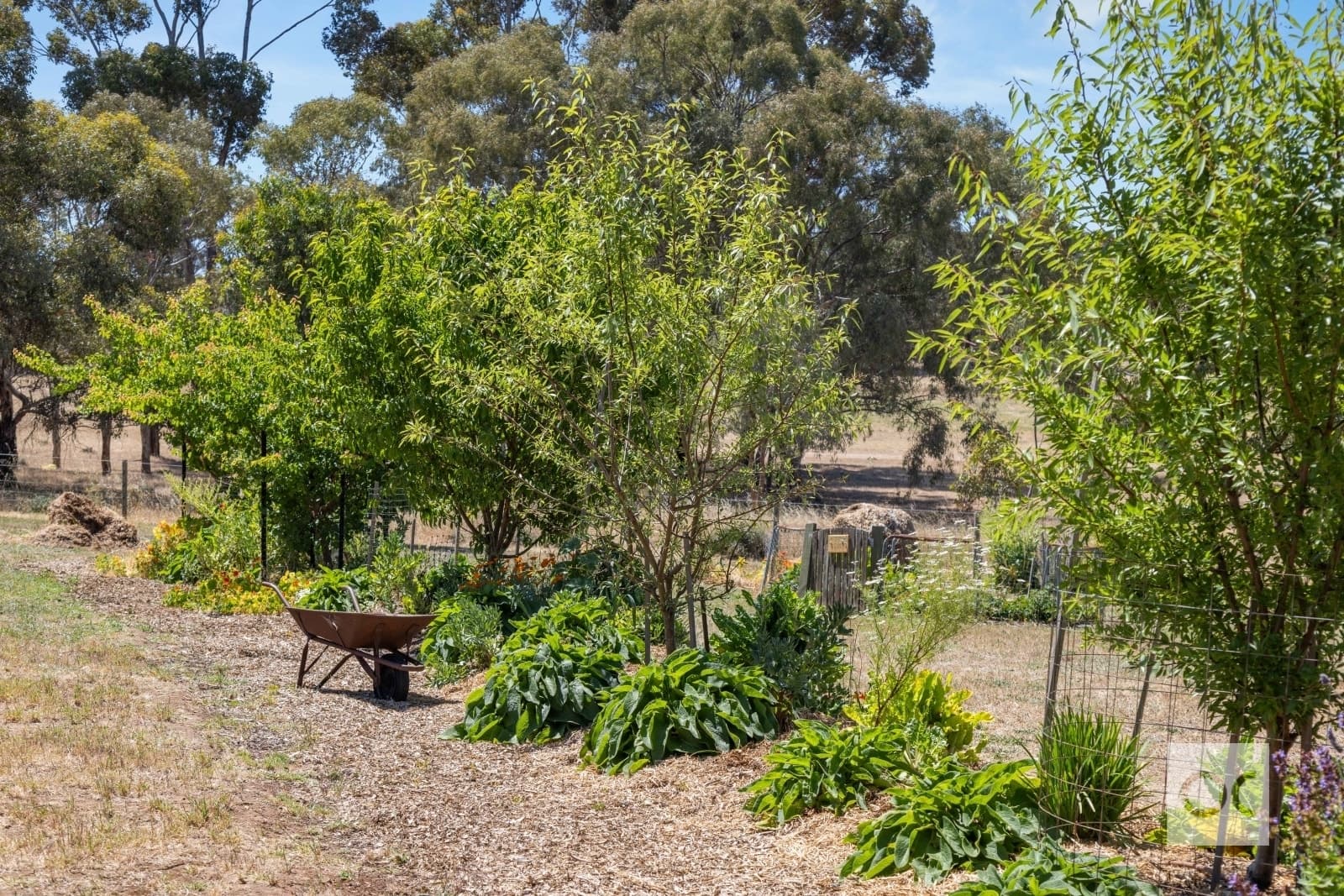 28 Craven Road, McLaren Vale - Thumbnail 7