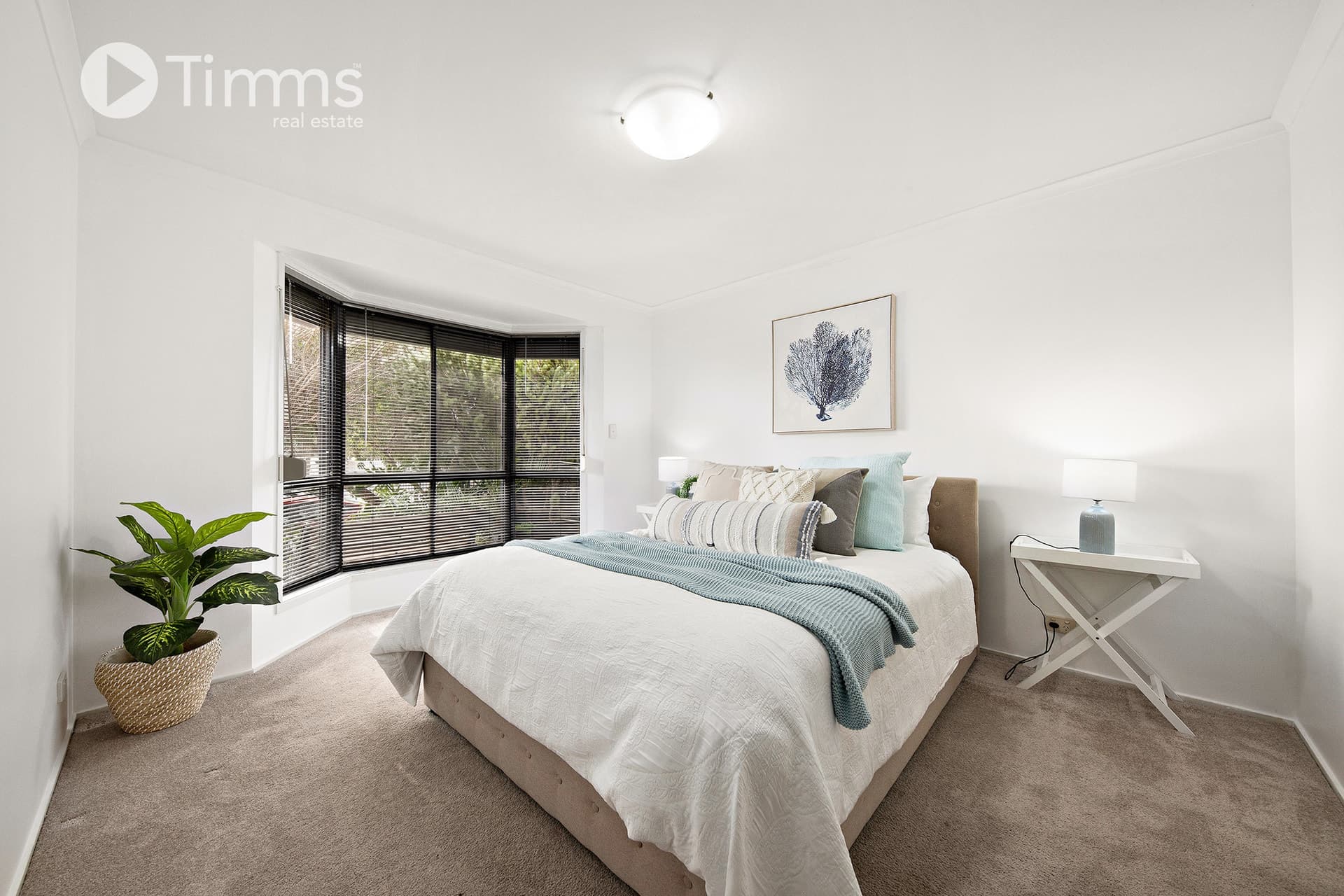 12 Padthaway Court, Woodcroft - Thumbnail 4
