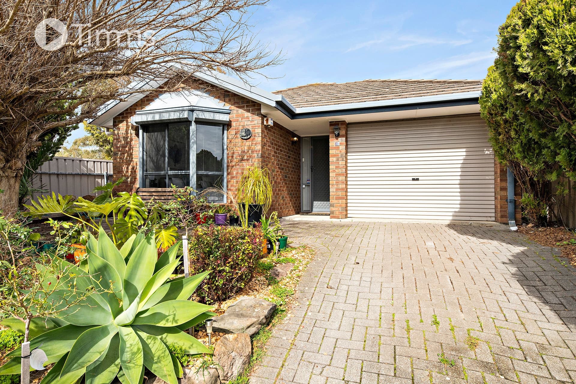 12 Padthaway Court, Woodcroft - Thumbnail 8