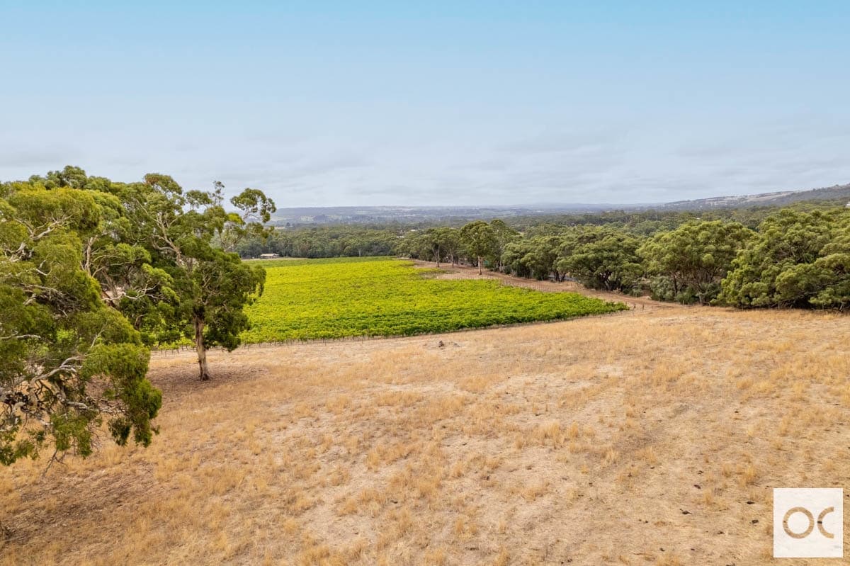 Lot 52 Pennys Hill Road, McLaren Vale - Thumbnail 6