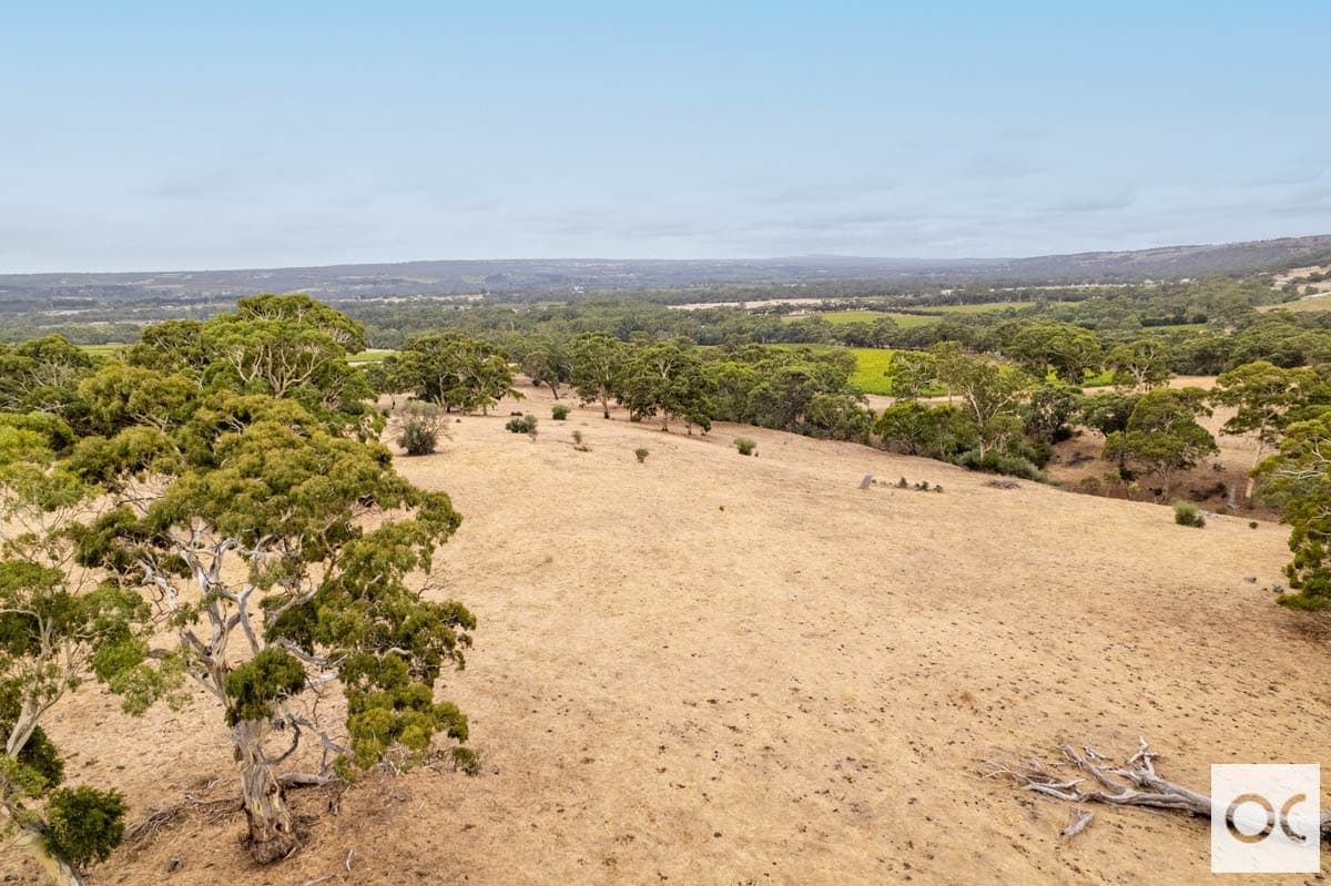 Lot 52 Pennys Hill Road, McLaren Vale - Thumbnail 7