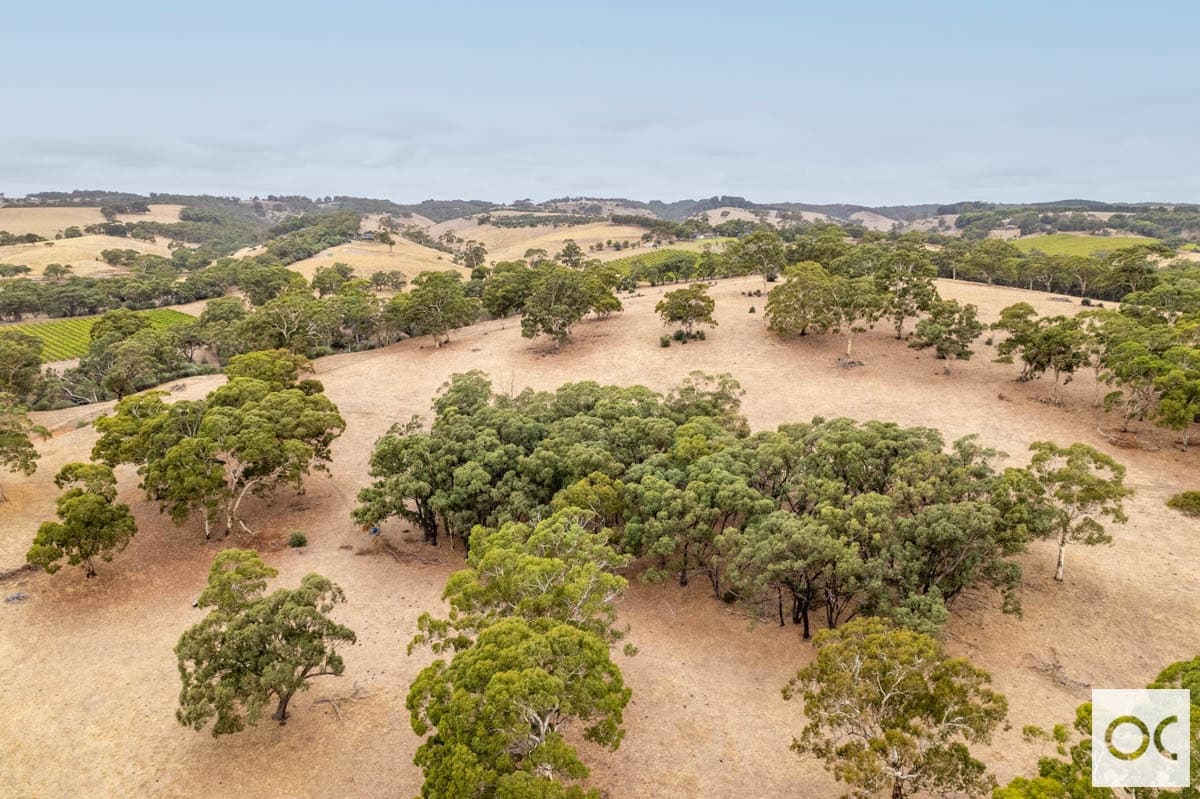Lot 52 Pennys Hill Road, McLaren Vale - Thumbnail 8