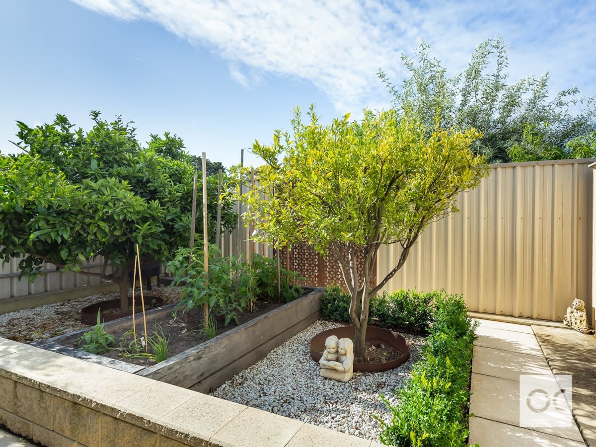 13 Oliver Avenue, Fulham Gardens - Thumbnail 8