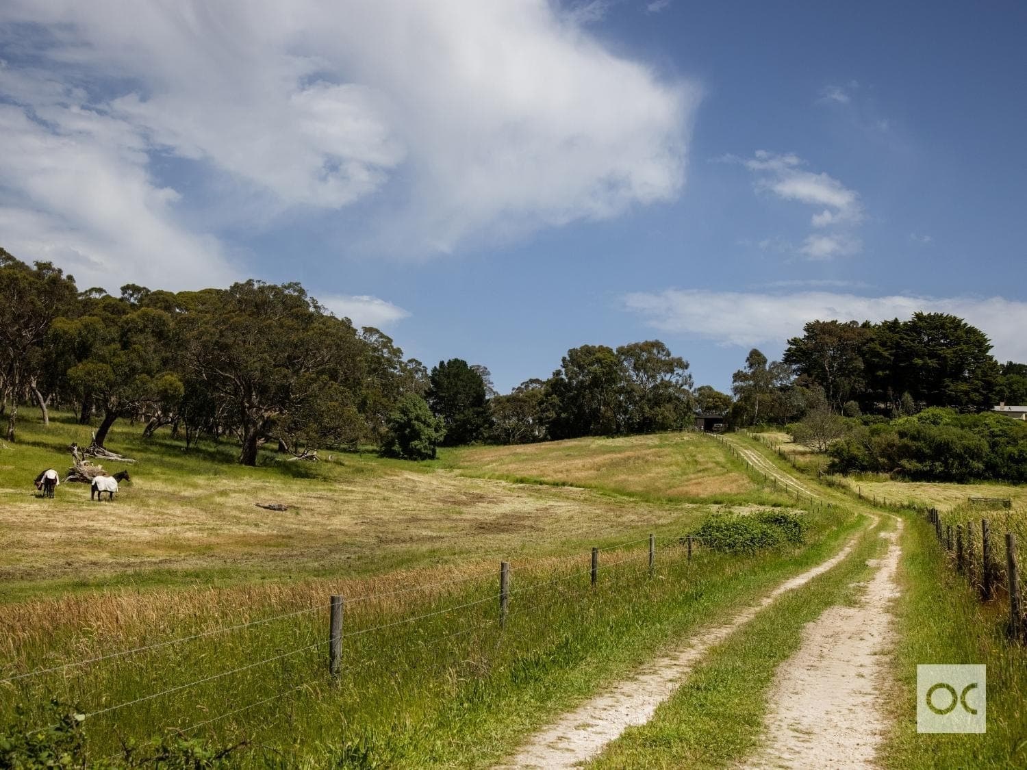 772 Range Road, The Range - Thumbnail 7