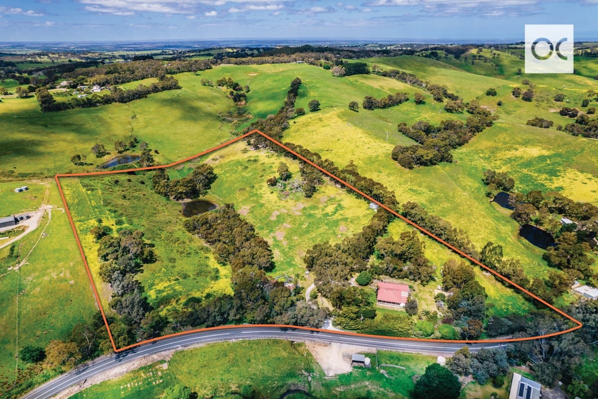 339 Bull Creek Road, Paris Creek - Thumbnail 3