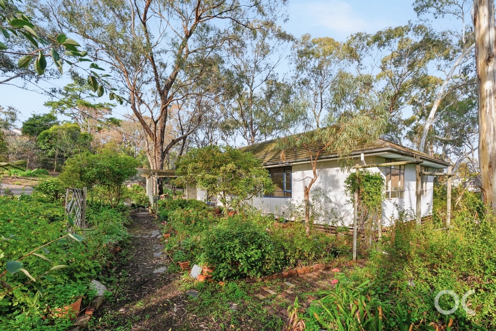 4 Woodworth Street, Blackwood - Thumbnail 3