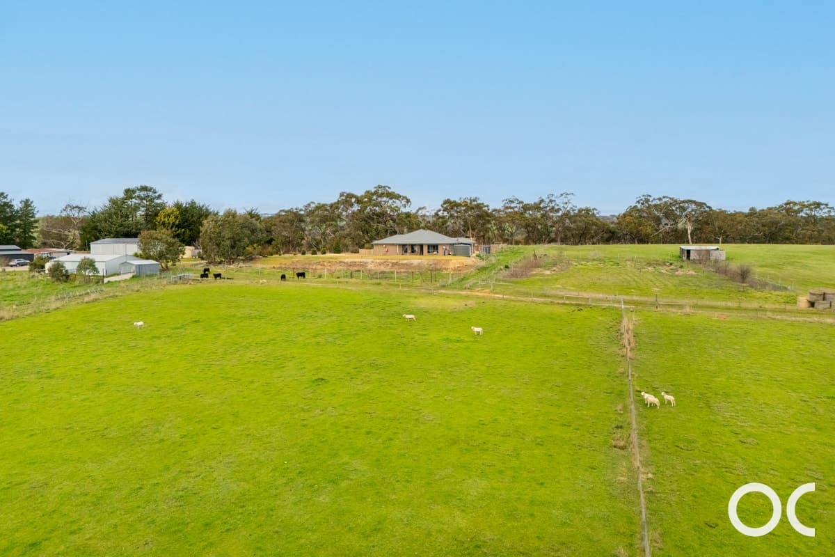 1239 Brookman Road, Dingabledinga - Thumbnail 6