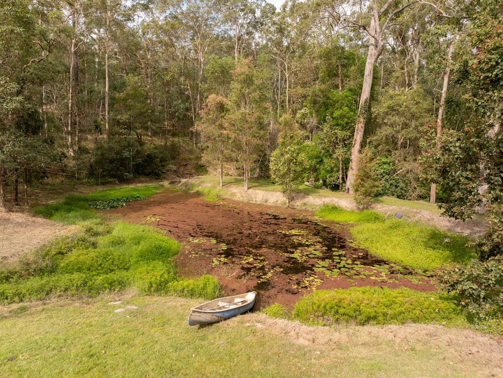 126 Stewart Road, Guanaba, QLD, 4210, Guanaba - Thumbnail 8