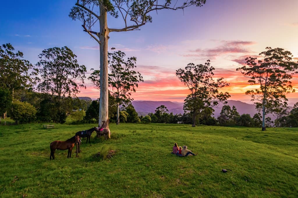 425 Main Western Road, Tamborine Mountain, QLD, 4272, Tamborine Mountain - Thumbnail 2