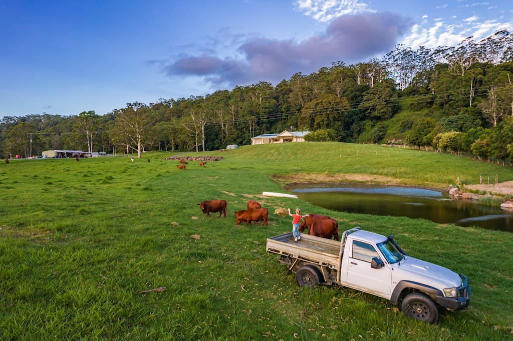 425 Main Western Road, Tamborine Mountain, QLD, 4272, Tamborine Mountain - Thumbnail 5