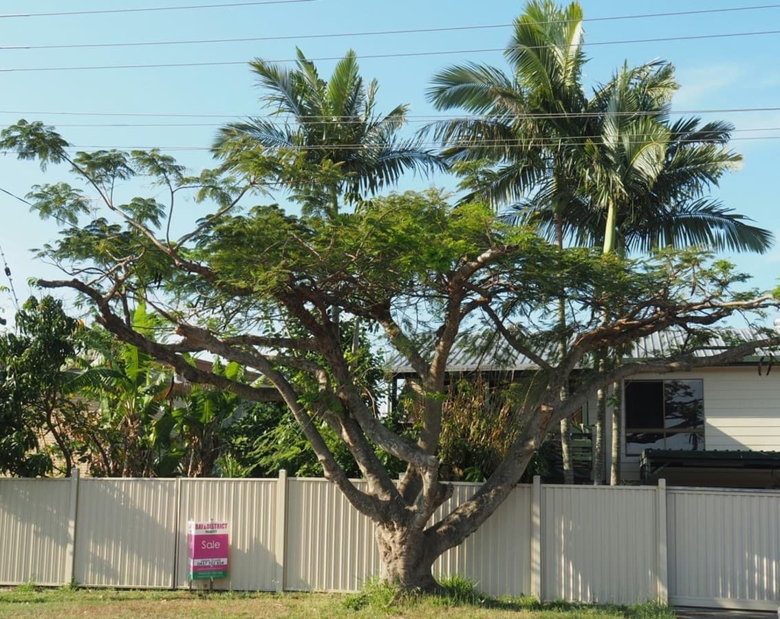 23 Raymond Terrace, DECEPTION BAY, Thornton - Image 1