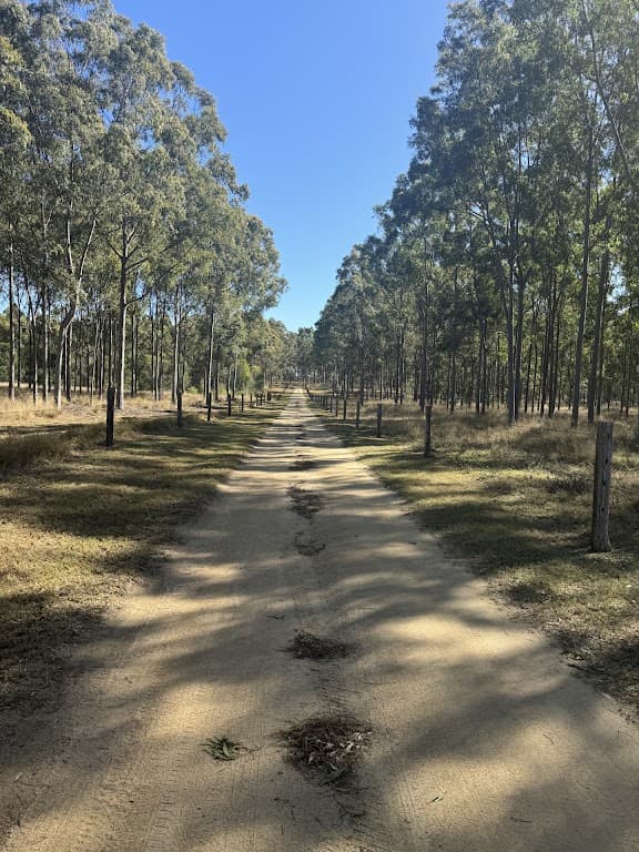 598 Recreation Drive, Wooroolin, QLD, 4608, Wooroolin - Thumbnail 2