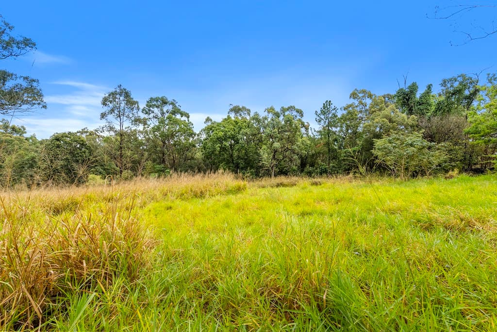 15 Grieve Road, Rochedale, QLD, 4123, Rochedale - Thumbnail 4