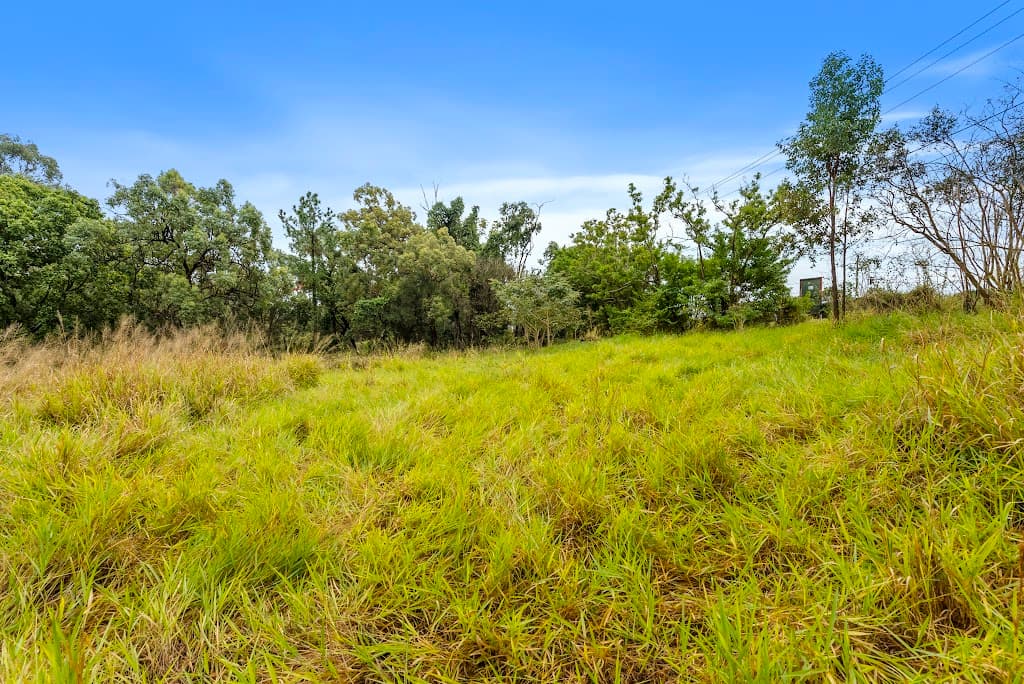 15 Grieve Road, Rochedale, QLD, 4123, Rochedale - Thumbnail 5