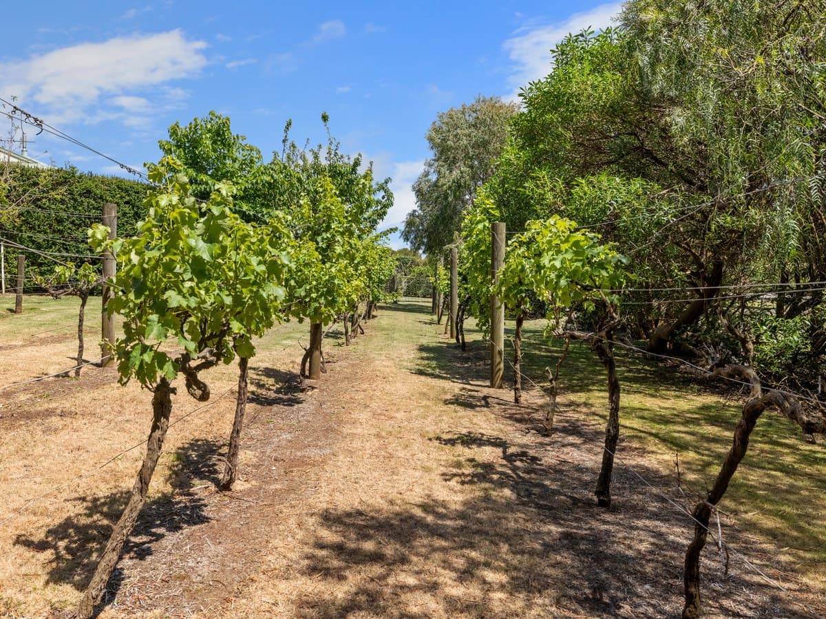 2-10 Small Court, San Remo, San Remo - Thumbnail 8
