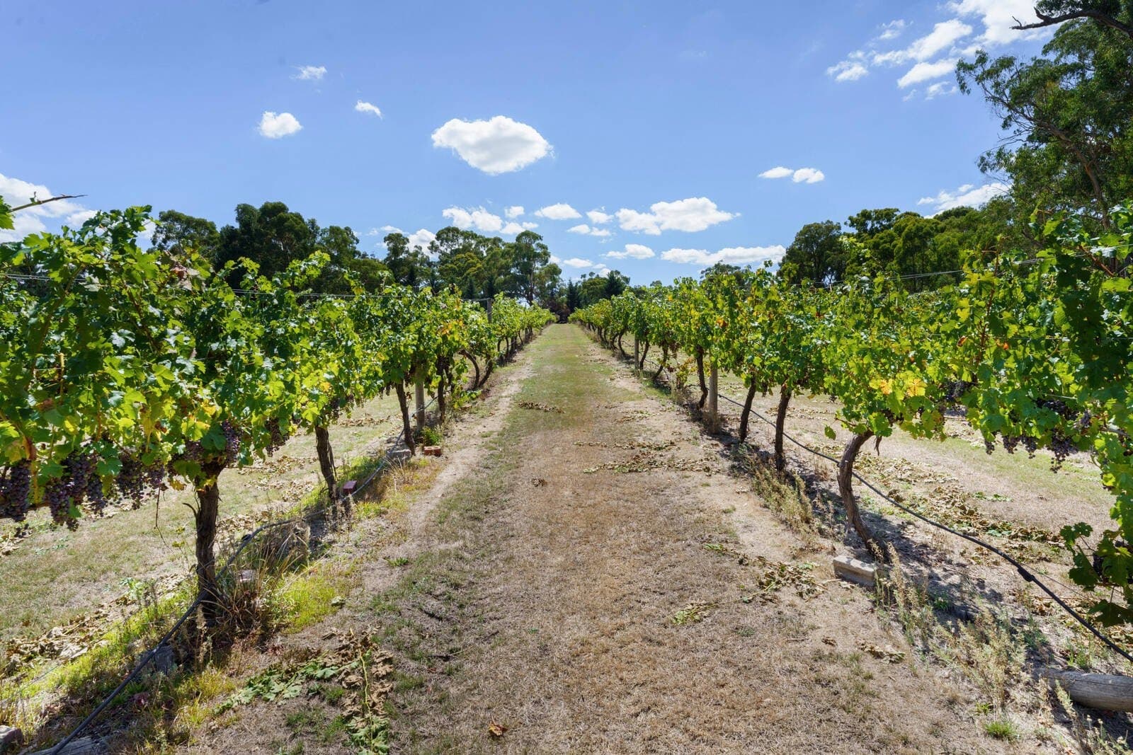 170 Baynton Road, Kyneton - Image 1