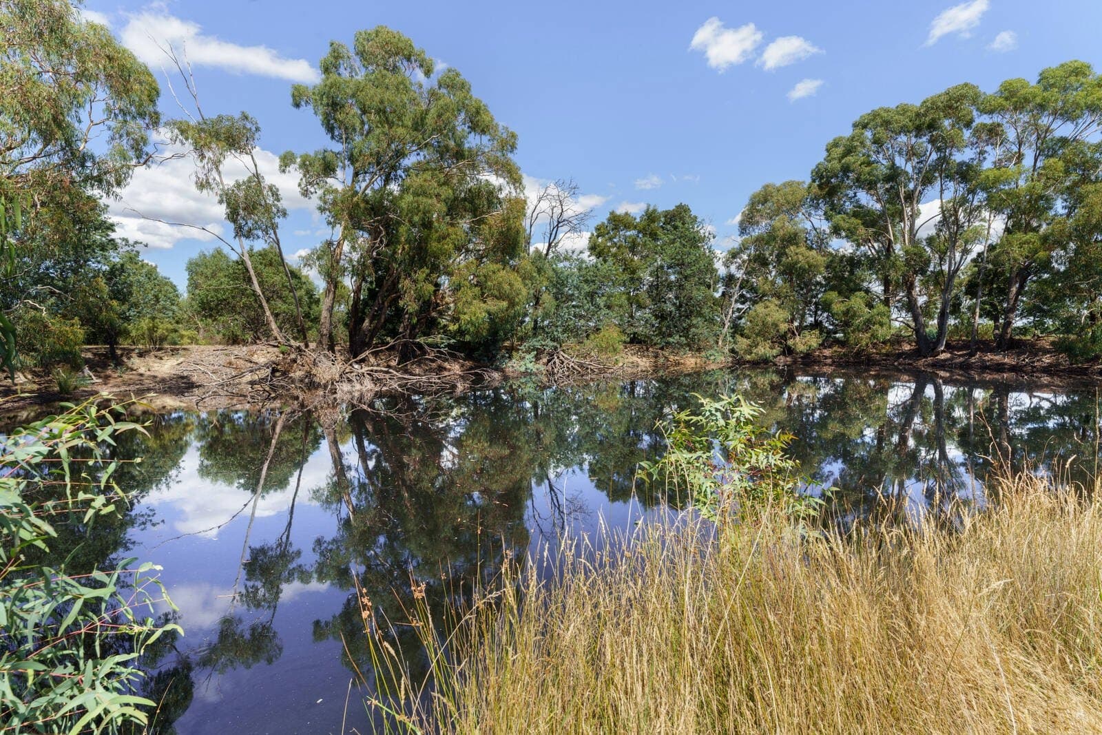 170 Baynton Road, Kyneton - Thumbnail 2