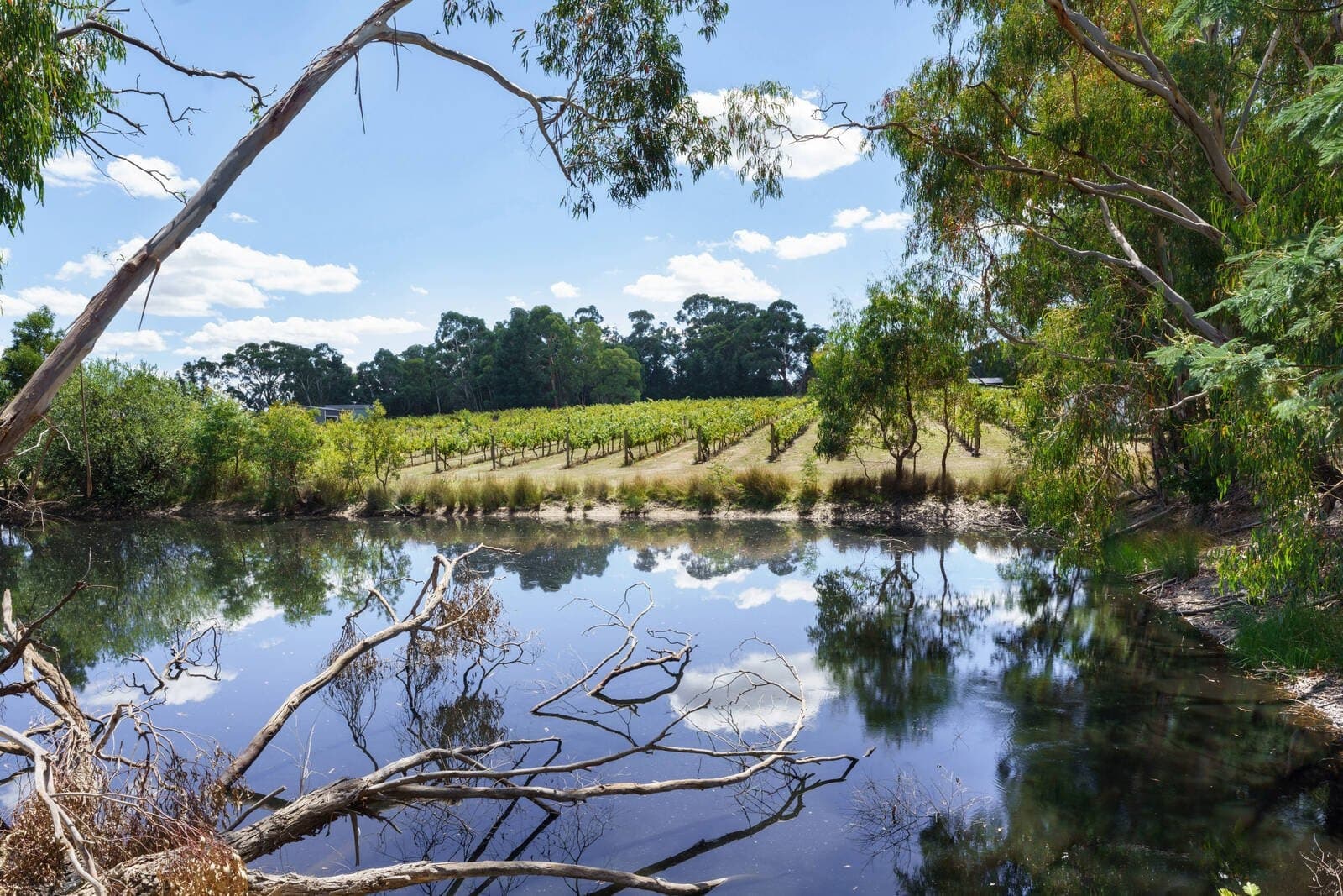 170 Baynton Road, Kyneton - Thumbnail 4