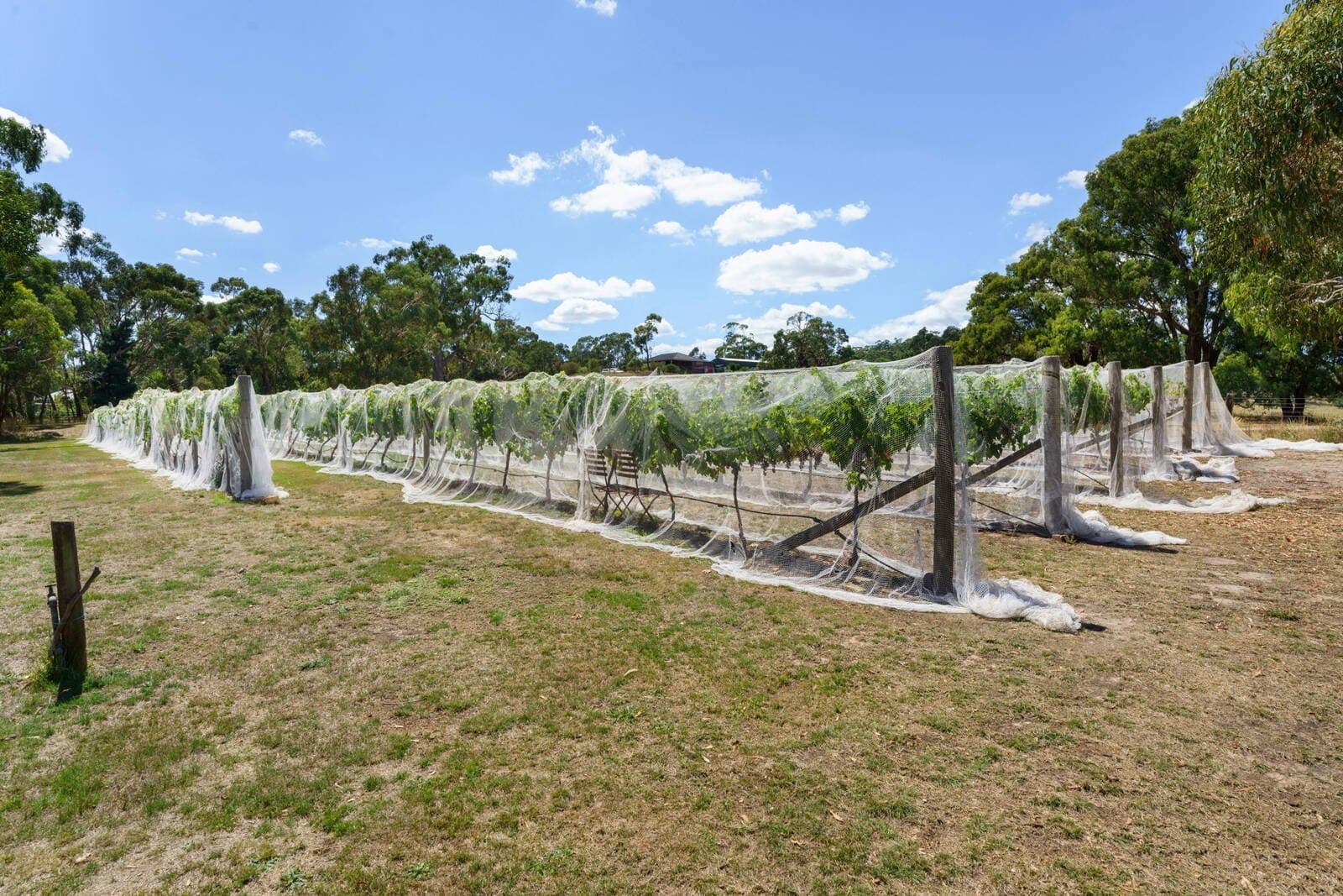 170 Baynton Road, Kyneton - Thumbnail 5