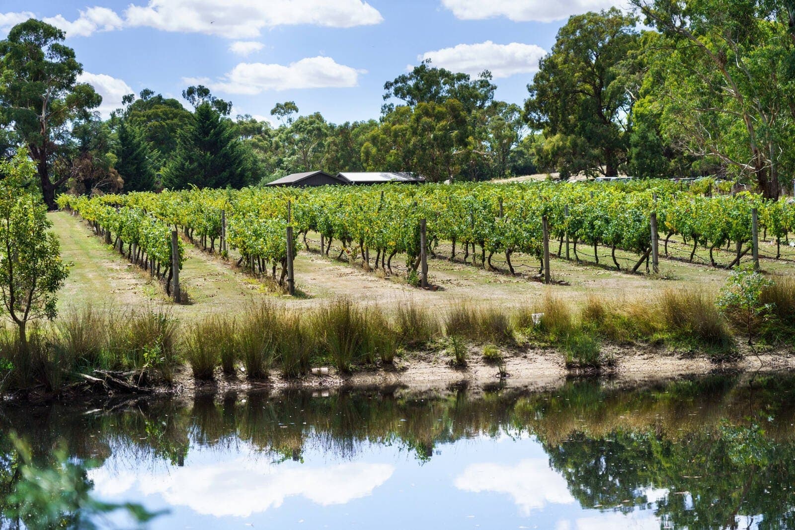 170 Baynton Road, Kyneton - Thumbnail 6